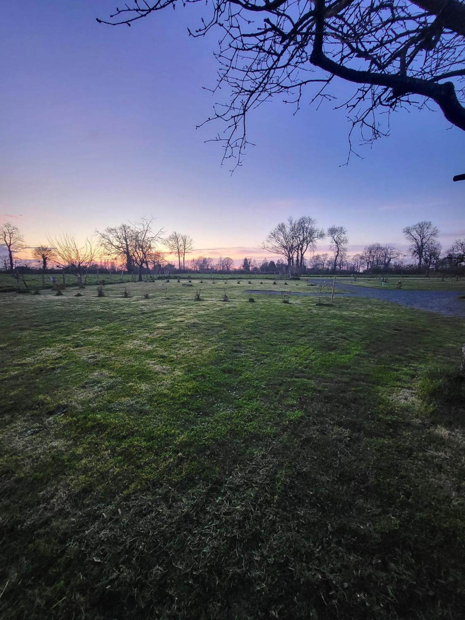 Camping Aire Natuelle D'Agy Bagian luar foto