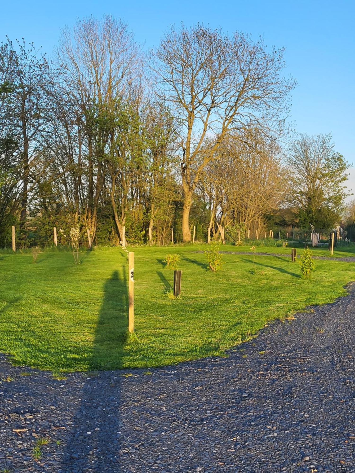Camping Aire Natuelle D'Agy Bagian luar foto